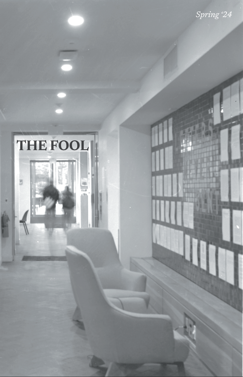 the cover of the fifth edition of the fool